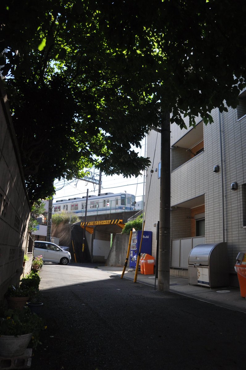 野田はっせん tweet media