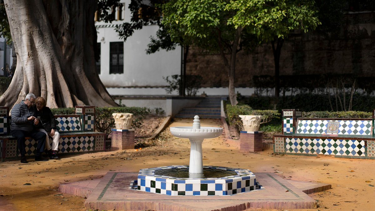 sevillaciudad's tweet photo. Jardines centenarios de #Sevilla 🌿✨

📍 Árboles enraizados en la historia, especies vegetales llegadas de #América que fascinaron a media #Europa o la máxima expresión del modelo de parque romántico. ¡Descubre el paraíso verde de la ciudad! 👇

https://t.co/dP3ixKp5bu https://t.co/U40fhocnXL