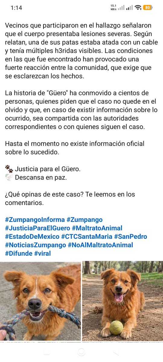 LicAnimalista's tweet photo. Atención @FiscaliaEdomex urge su intervención. #JusticiaParaGuero CCP. @delfinagomeza https://t.co/Pk7xGaYH32