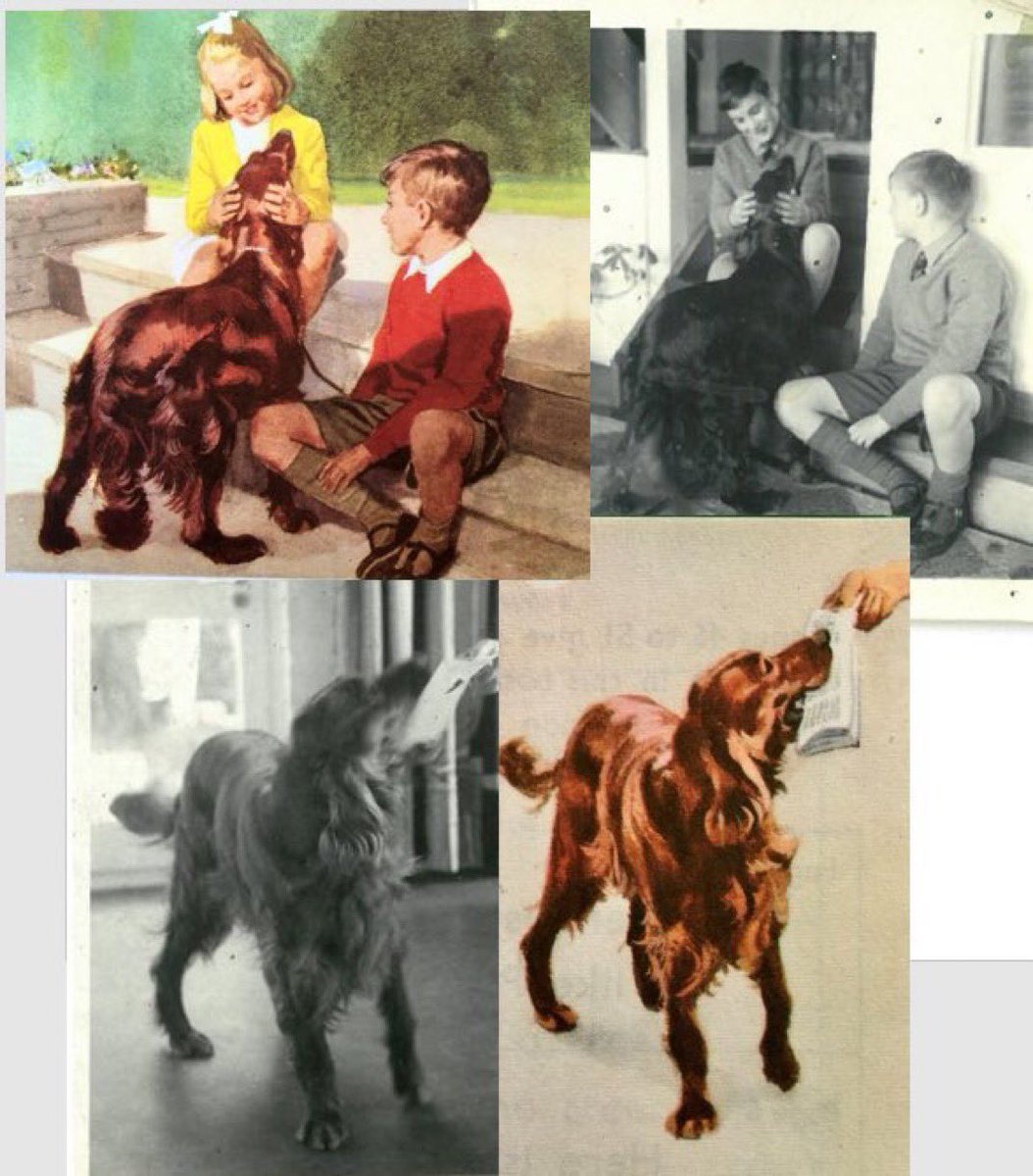 LBFlyawayhome's tweet photo. Peter and Jane’s Irish Setter Pat
(And the ‘real’ Pat)
Artist: HarryWingfield https://t.co/fKkBKNRoaL