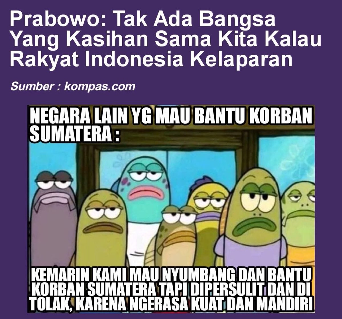 ᴠɪᴄᴋᴏ ᴠᴀɴ ᴠᴇʟᴢᴇɴ tweet media