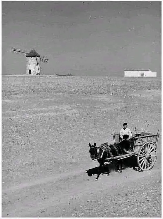 Retra_tos's tweet photo. Campo de Criptana #CiudadReal #lamancha #España año 1963. #Fotografía #RamónMasats. #photographer #photography #retratos #minimalista #photooftheday #molinos https://t.co/2zWmMUD37i