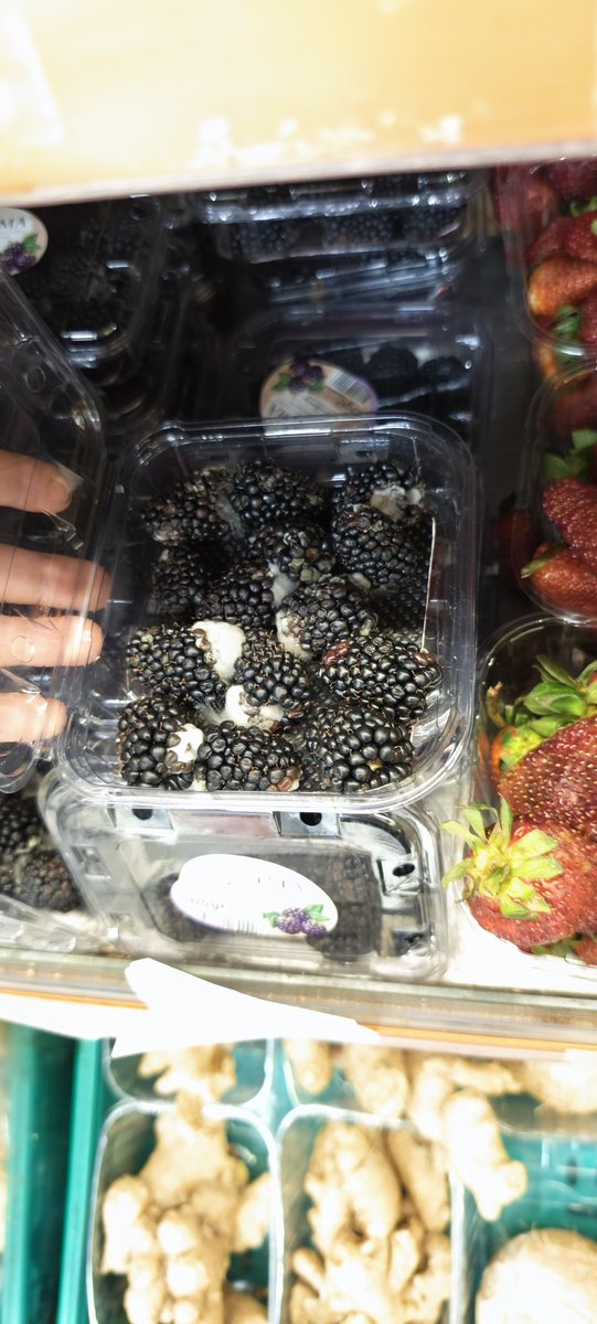 sln_avci's tweet photo. @Migros_Turkiye 31.05 tarihinde Bahçelievler Kadir Has AVM şubesinde fotoğrafını çektiğim böğürtlene 'benzer' ürünlerin rafta satılıyor olması normal midir? Üstelik bu fiyata? https://t.co/zlAOFXqXym
