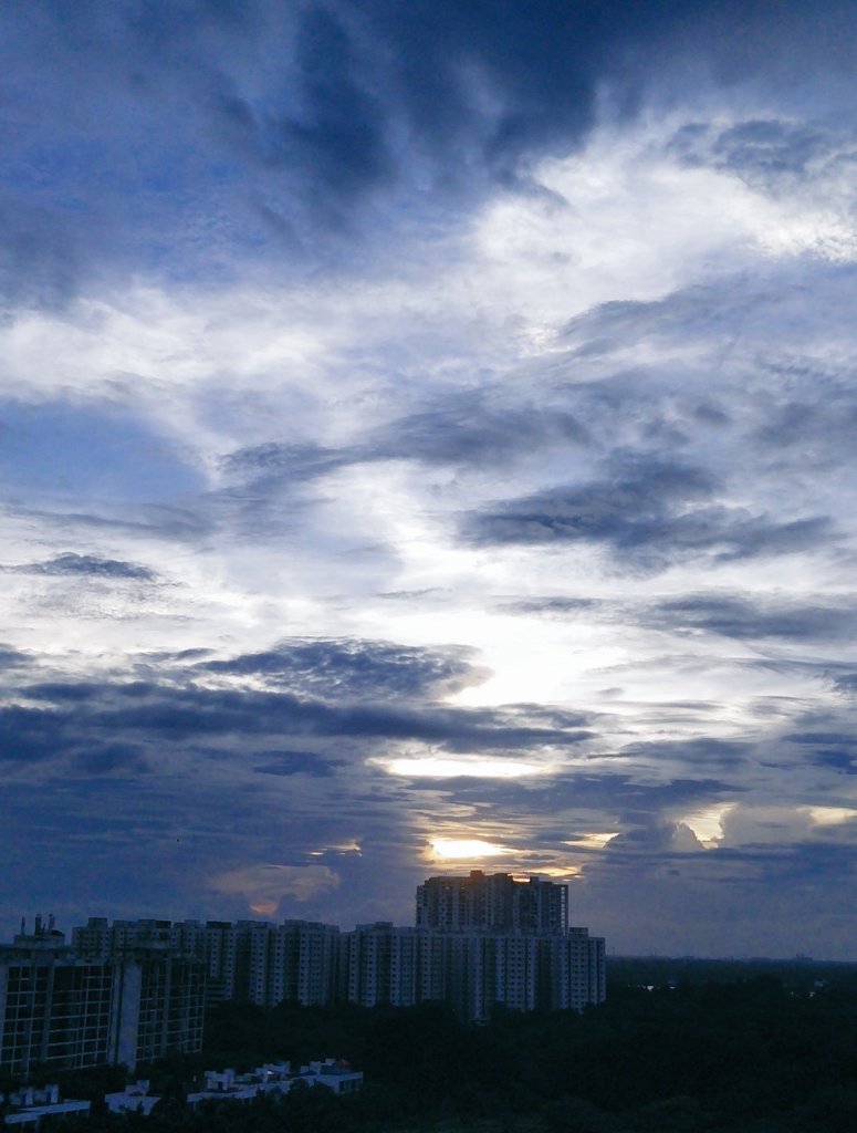 SERENITY07557's tweet photo. Show me your pretty blues..💙 https://t.co/8NkSn2r6N1