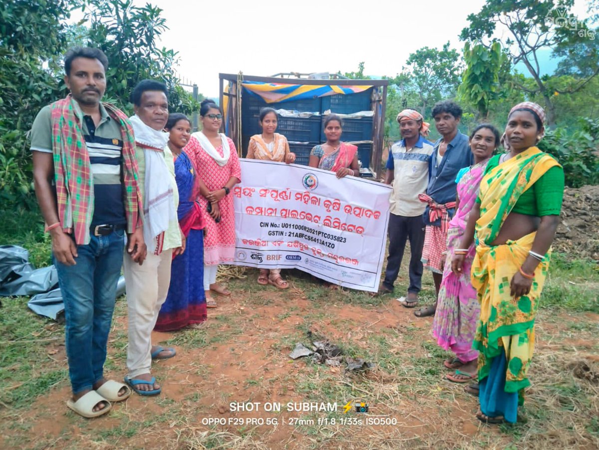 mission_shakti's tweet photo. Swayang Sampurna WFPC is making its way across continents!9.5 quintals of premium Amrapali mangoes🥭 have been exported to London  by Swayang Sampurna FPO, Jashipur-Karanjia, Mayurbhanj, promoted under  APC Programme and supported by the Department of Mission Shakti. https://t.co/98AULIsDIv