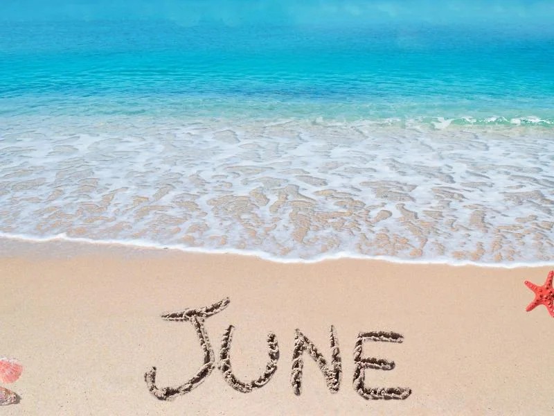 Mr_Jay_Pee's tweet photo. Remember to prioritize your growth, secure your wins, and protect your peace this month. 

No matter how the first half of the year looked, this month is a fresh one. Let’s make it legendary!

Happy New Month Everyone ✨️ https://t.co/PJfF2owpLF