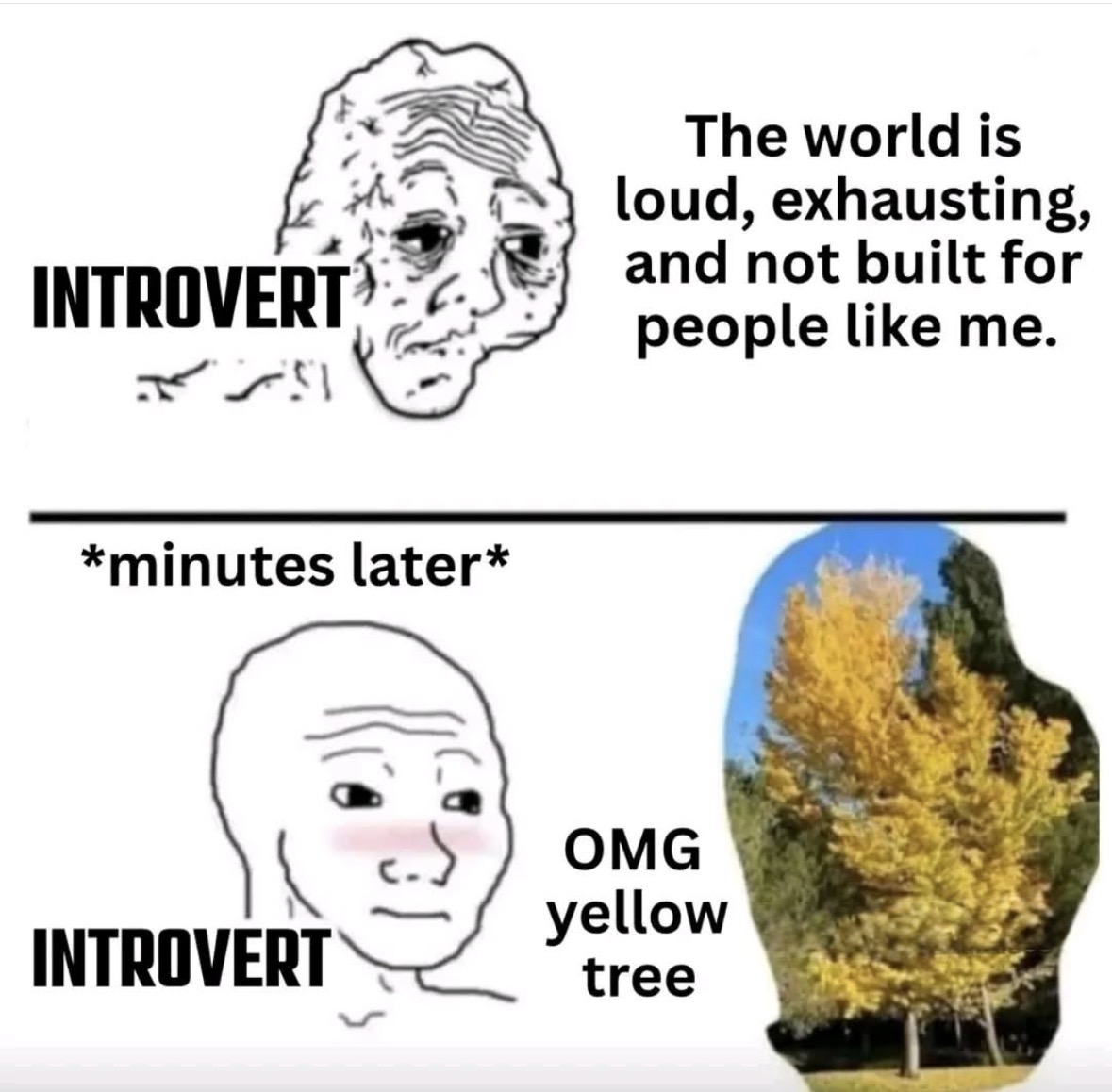 RespectfulMemes's tweet photo. https://t.co/2uMjhlNuyG