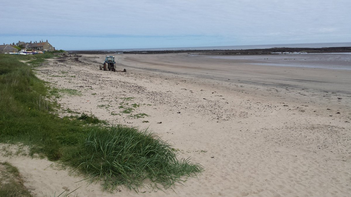 manonabeach's tweet photo. What the #beach means at #Boulmer in #Northumberland, with @villagefarmhols - https://t.co/gu350FmnfK https://t.co/kugif6EQr6