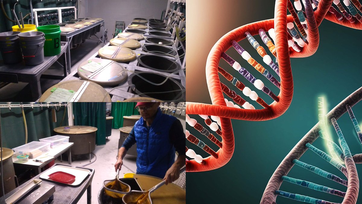 Pensoft's tweet photo. ➡️Alternatively, read the guest post by lead author Hiroki Yamanaka, available on our blog: 
https://t.co/5Ks9EPrgB8

#eDNA #biodiversitymonitoring https://t.co/mz7oKUNTHX