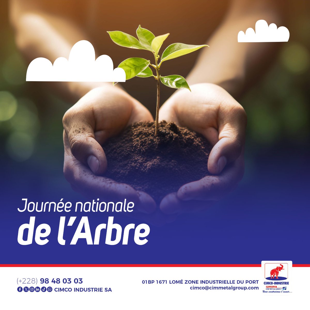 Cimcoindustrie's tweet photo. Protéger l'environnement aujourd'hui, c'est garantir notre bien-être de demain. Rejoignez le mouvement ! #Togo #CimentCertifié #Cimco #Bâtir #Éléphant #Arbre https://t.co/ELGAQo5ewu