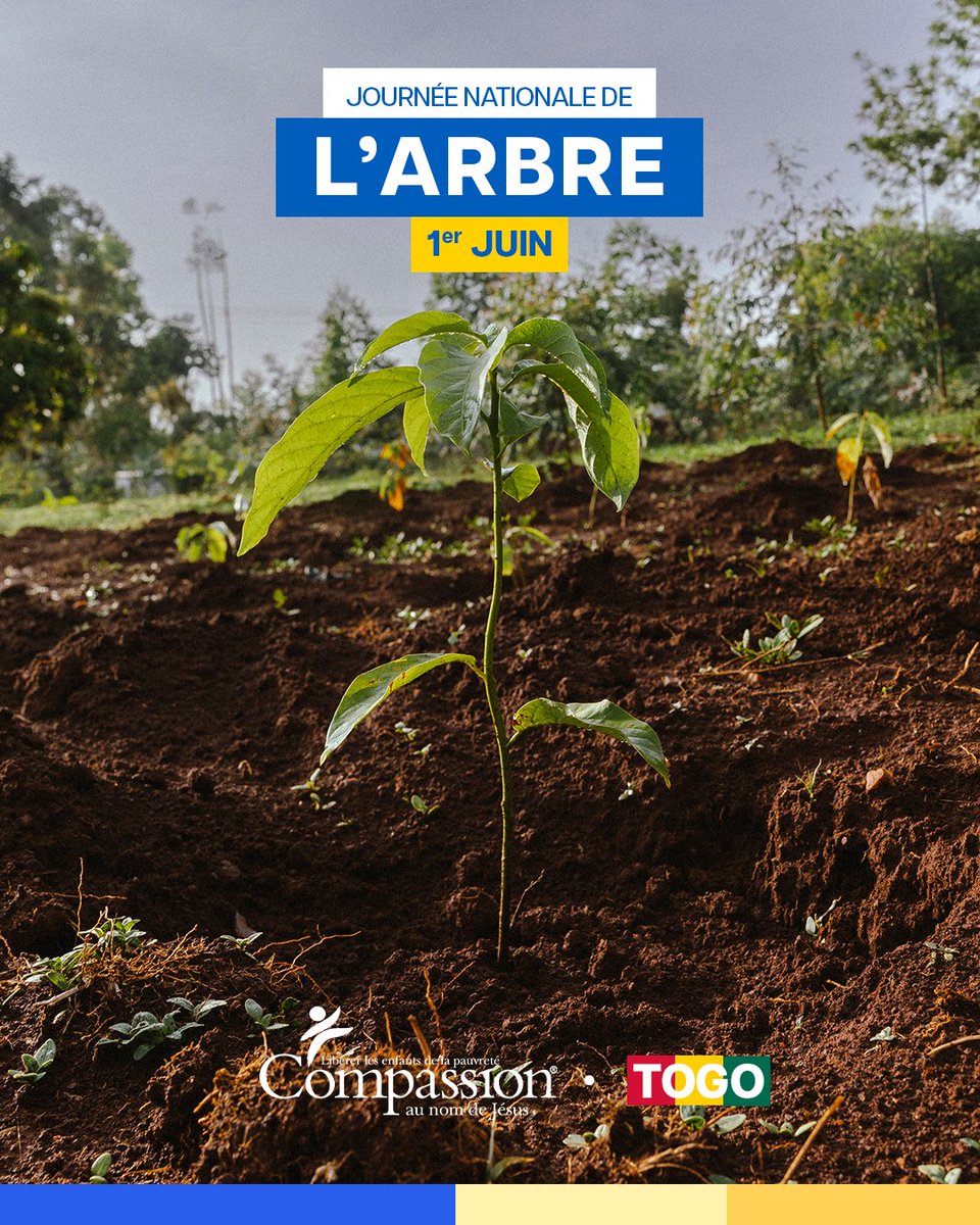 CompassionTg's tweet photo. Chaque arbre planté est une promesse pour demain. 🌳 En contribuant au reboisement, nous participons à la protection de l’environnement et à la construction d’un avenir plus sain et durable pour les générations futures. 🌍💚

#GEPC 
#CompassionTogo 
#Togo 🇹🇬 https://t.co/lOQvxpff0x