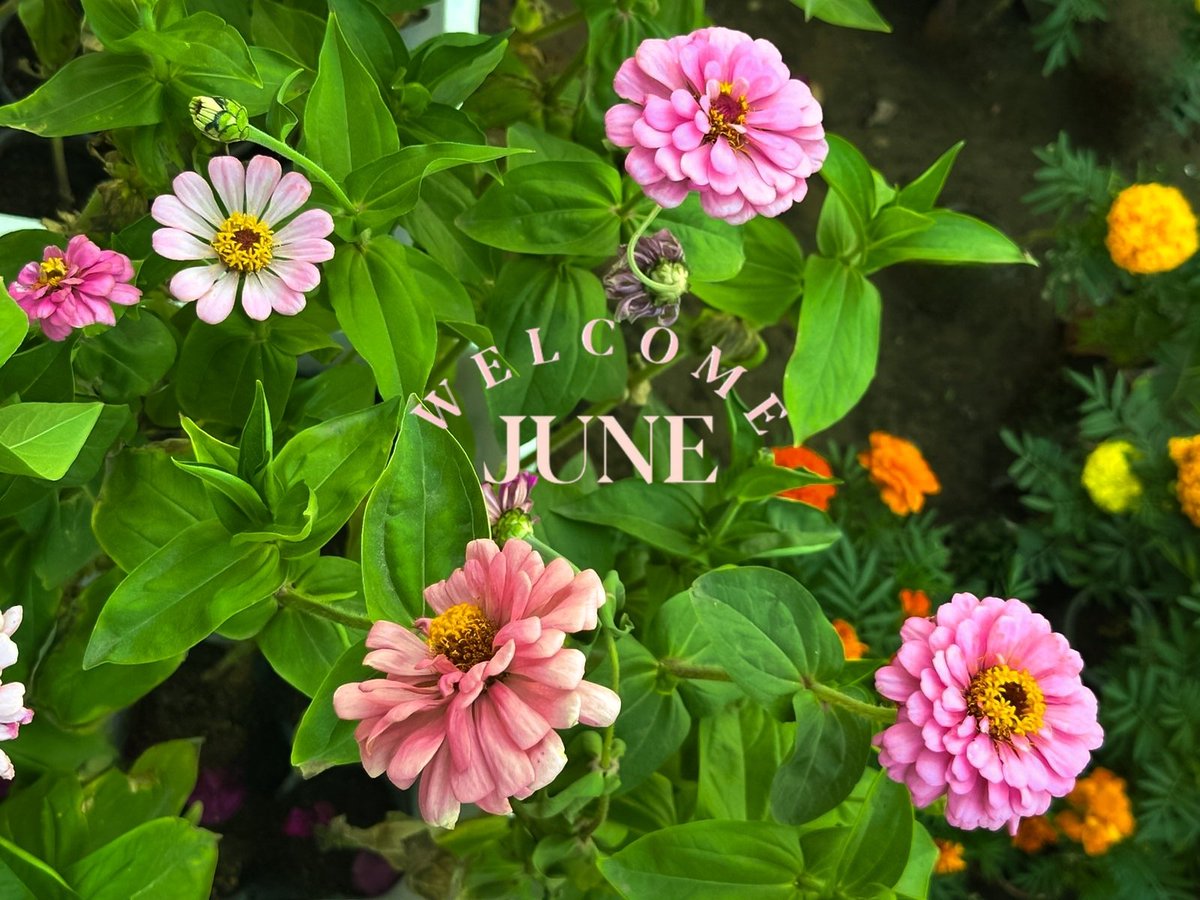 nada2iiv's tweet photo. 𝐉𝐮𝐧𝐞 🌸🍃.. https://t.co/qWnUfPpDjZ