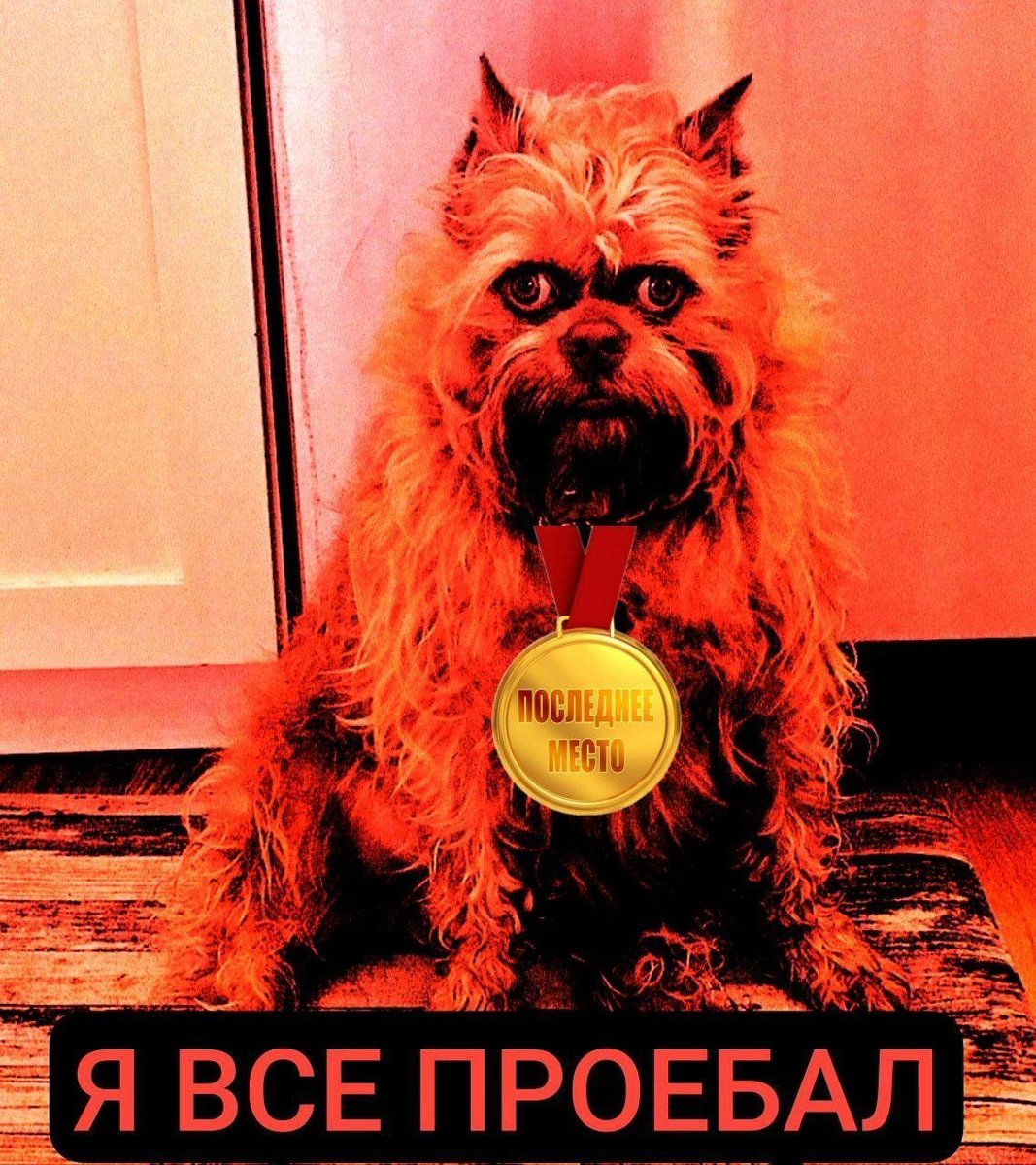 eiennodanpu's tweet photo. Как же славно было справить 33 на прошлой неделе https://t.co/YxTMU5N2F4