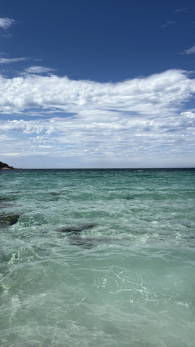 ssolxee's tweet photo. Tasmania https://t.co/JPHiDXBUZR