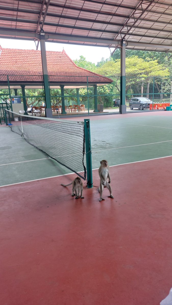Heyputrii's tweet photo. Hari senin nyobain lapangan tennis baru yeai di Kopasus Serang, lanjut makan capcay di TOP TEN andalan karyawan serang.

Berakhir ngurus atm ke bjbs, bjbs maintenance lama bat oyyy udh sebulan🙂 https://t.co/s4oyAvLIU4