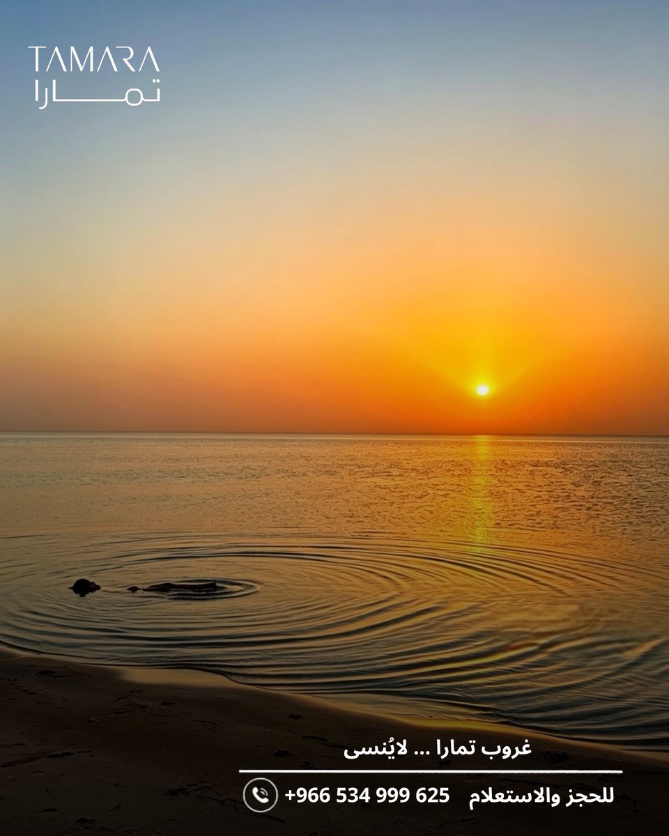 tamararesort's tweet photo. هذا الغروب.. موجود كل يوم في تمارا.
سماء برتقالية، بحر هادي، ودوائر المياه اللي تكمّل الصورة. لحظة كهذي ما تجيك إلا لما تكون في المكان الصح. وتمارا هو المكان الصح.
احجز إقامتك وعيش هالغروب بنفسك . https://t.co/YFmtswaCwZ