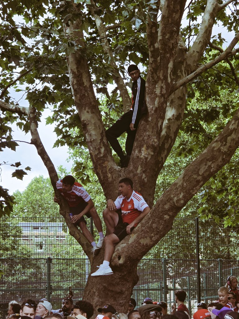 Modhabobo's tweet photo. I loved the complete lack of health and safety at some of the Arsenal champions parade. Half the photos look like they are from another era. https://t.co/nfOBQtq9su