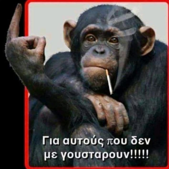 Χάμπος😎 😘🍫🦎🐬💯 tweet media
