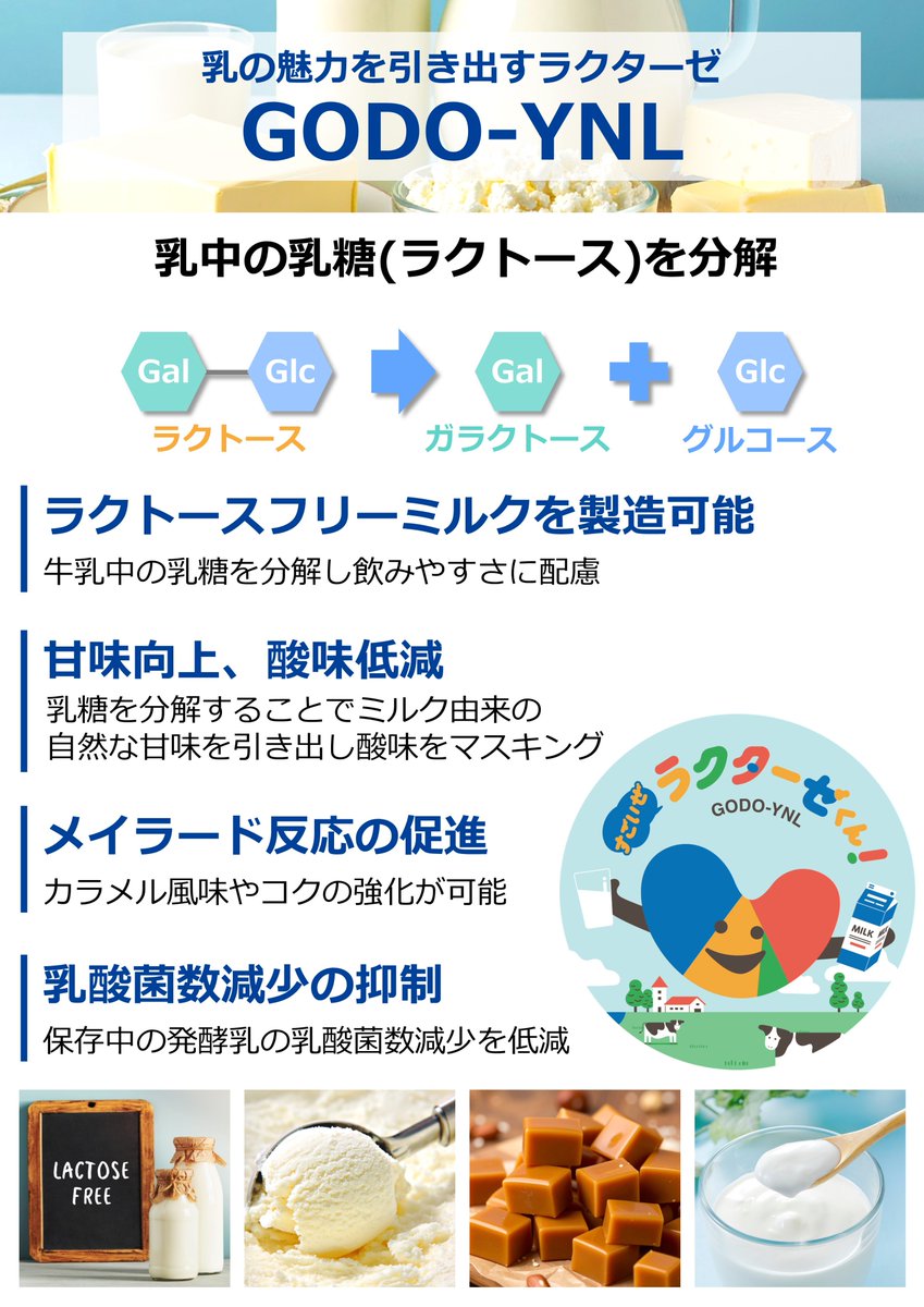 TMG TGK22038 定価28,600円 新品タグ付 そして弊社のラクターゼ 「GODO-YNL」は世界シェア3️⃣位！ （2025年