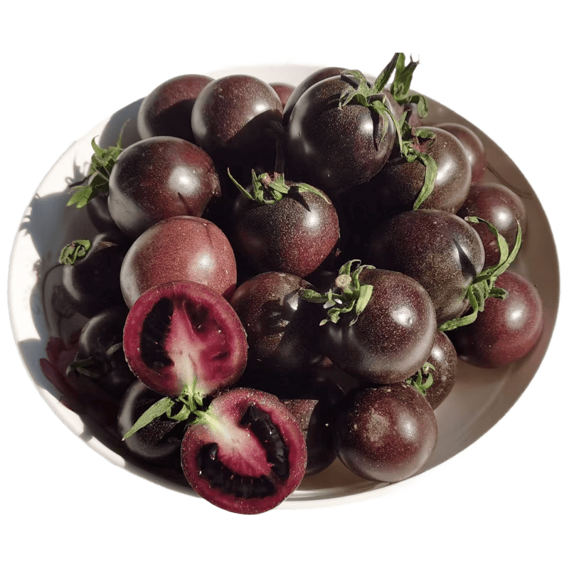 ena930's tweet photo. Just tried the new organic cherry tomatoes from local farms—super sweet, juicy, zero weird aftertaste! Perfect for summer salads , highly recommend!， https://t.co/cNEDVAJZxu