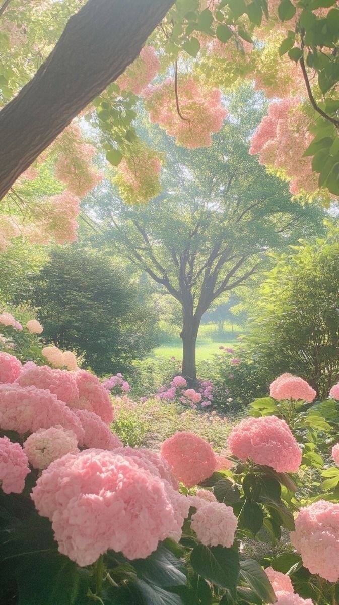_Naturaee's tweet photo. spring time https://t.co/Awk8FNlCDl