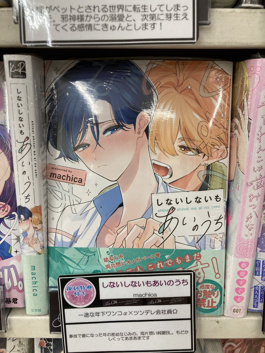 animatenagoya's tweet photo. 【📚書籍コーナー情報📚】

 6月の #BL課 のテーマは
「年齢なんて離れてれば離れてるほどええですからね 」特集✨

💖名古屋店激推し💖
#machica 先生
『#しないしないもあいのうち』

📢BL課店舗限定
発売時にお付けしていた特典を復刻してお渡し中ナゴ🎁 https://t.co/A7WzAjdpYc