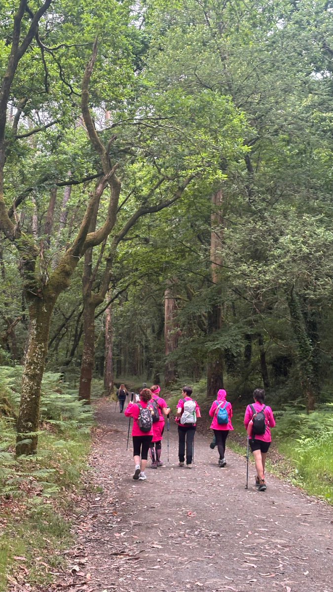EapsCentro's tweet photo. ¡Y llegamos a Santiago! Finaliza el proyecto 'El camino de tu vida' donde nuestra compañera del EAPS San Rafael ha acompañado a 19 pacientes con cáncer de mama a recorrer el camino de Santiago. 
#fundlacaixa
#enfermedadesavanzadas https://t.co/0AaoEBmU0O