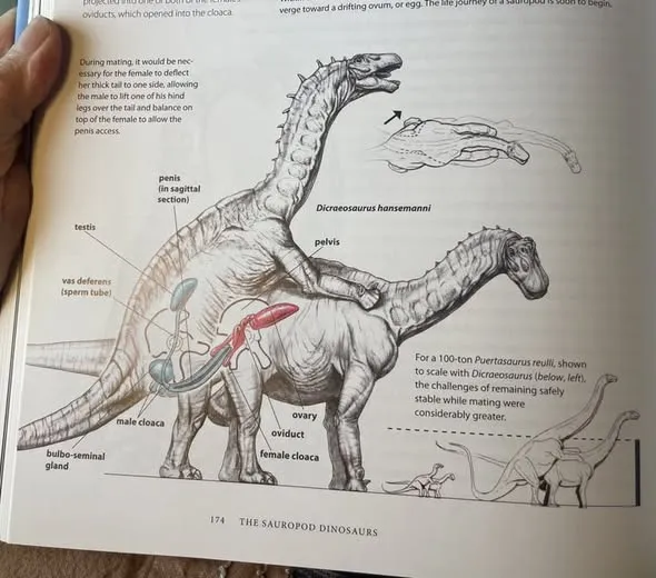 FmdTeacher's tweet photo. #TodayILearned #TIL https://t.co/arZskTW6C2