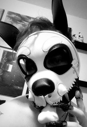 Cobalt_Pupper's tweet photo. Gorgeous p&amp;c creations leather skull hood needing a new home!

Take him home for $130! https://t.co/zTOwQuj0am