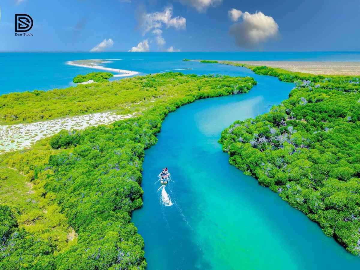 Blueparadise252's tweet photo. Somalia 🇸🇴 

🌽 Ranks 1st in East Africa in terms of agricultural land.
🐄 Has 50+ million heads of livestock.
🏝️ 140+ islands.
🐟 1,000,000 sq km EEZ.
💎 Part of the Gemstone belt.
🛢️ 110 billion barrels of Oil.
⚡️ highest onshore wind energy potential in Africa. https://t.co/g3DumSk0cc