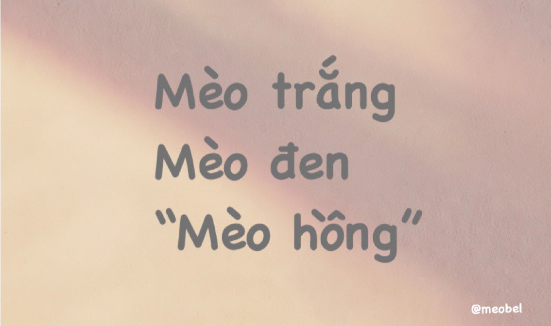 meobelngungoc tweet media