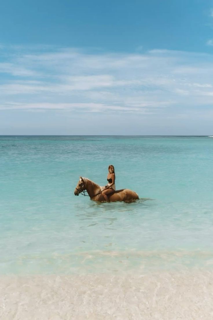 MauritiusGuide tweet picture