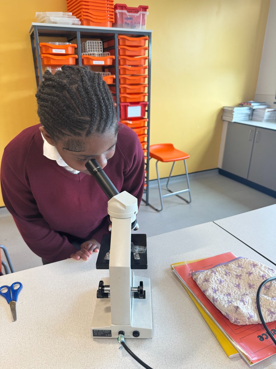 byrchall's tweet photo. Year 8 have been investigating photosynthesis! 
Using clear nail varnish, they took imprints of stomata from the underside of leaves and examined them under microscopes. A great opportunity to explore plant biology up close. https://t.co/9shJPRmtTn
