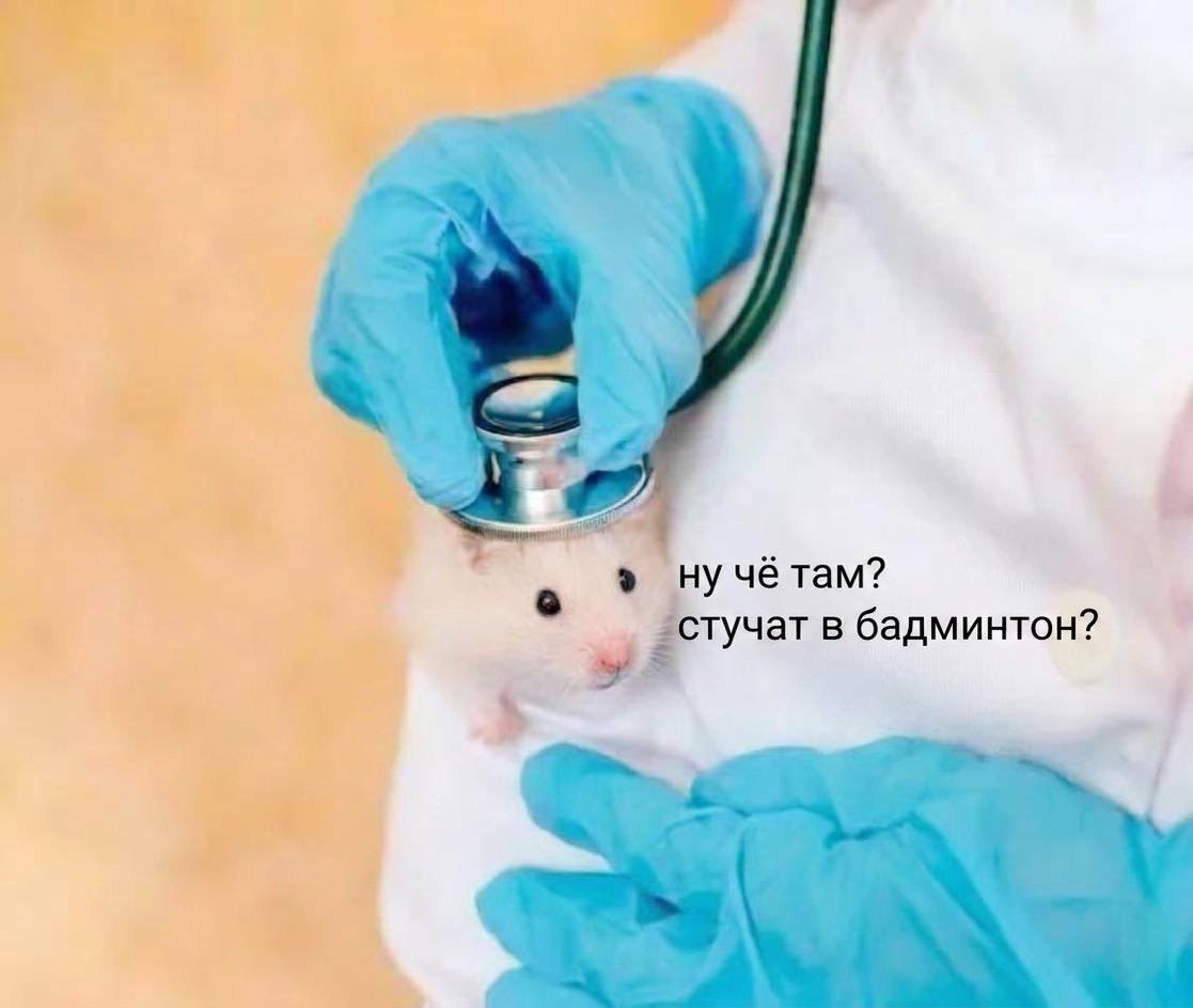 babam_bc's tweet photo. где поучиться технике за 1500₽?

Петроградская: 
– понедельник 19:30, Иван Брагин
– четверг, 21:30, Семён Малый

Звенигородская:
– вторник, 20:00, Сима Рояк
– четверг, 19:45, Алиса Юрша

Старая Деревня: 
– понедельник, 20:00, Соня Вавилова
– вторник, 20:00, Олег Сергеев https://t.co/zru5bBWFts