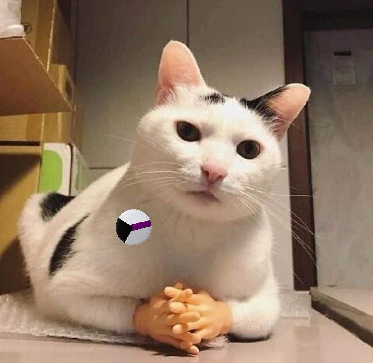 pyrrhawashere's tweet photo. And to celebrate pride month let’s talk about how good the depiction of Neil’s sexuality is and the importance of it for the demi community https://t.co/0lquhMq1sT