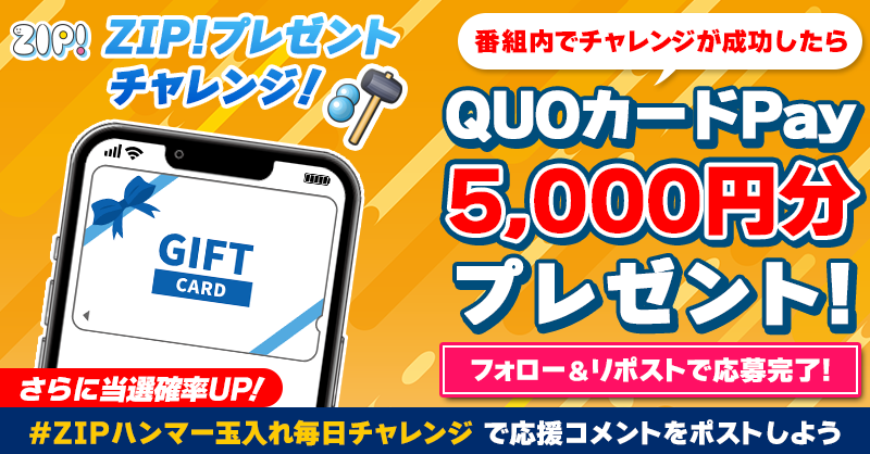 ZIP_TV's tweet photo. 5️⃣0️⃣0️⃣0️⃣円分のQUOカードが
成功するたび当たる❣
ZIP! チャレンジ！ハンマー玉入れ

📝参加方法
1️⃣@ZIP_TV をフォロー☑
2️⃣この投稿をリポスト🔄
➕#ZIPハンマー玉入れ毎日チャレンジ を付けて
応援コメントを投稿で当選率UP⤴

金曜日よる9時まで

詳細は以下をチェック👇#ZIP
https://t.co/z5qJAHbdPB