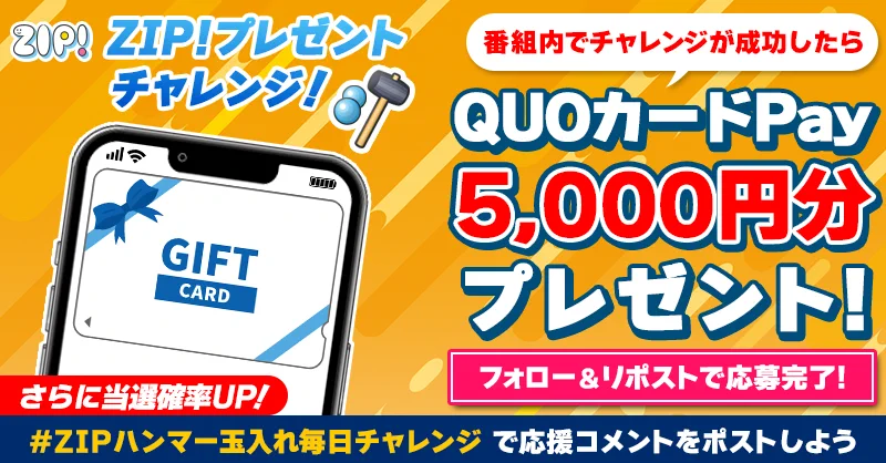ZIP! 【公式】 on X: 