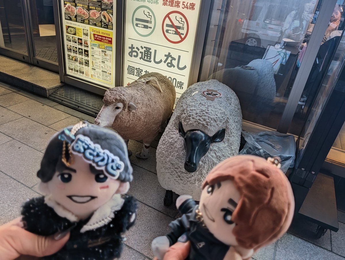 sori1002TS's tweet photo. 札幌2日目夜はストが打ち上げで行ってた
「平塚ジンギスカン」
食べ比べセット、ネギ飯、スダチ冷麺、北海道産野菜盛り合わせ、その他…

肉厚だったけど、柔らかくておいしかった。
アスパラも美味しかった。

ストちゅーぶに出なければ、札幌でジンギスカン迷子になる所だった。 https://t.co/vuQ4gYLi1L