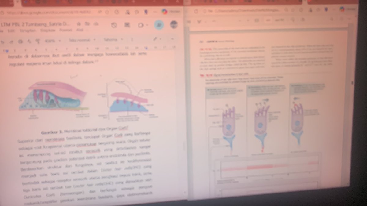 lunarstudy's tweet photo. sedih banget ltm terakhir di tingkat 3:((( https://t.co/IstZeI3HP7