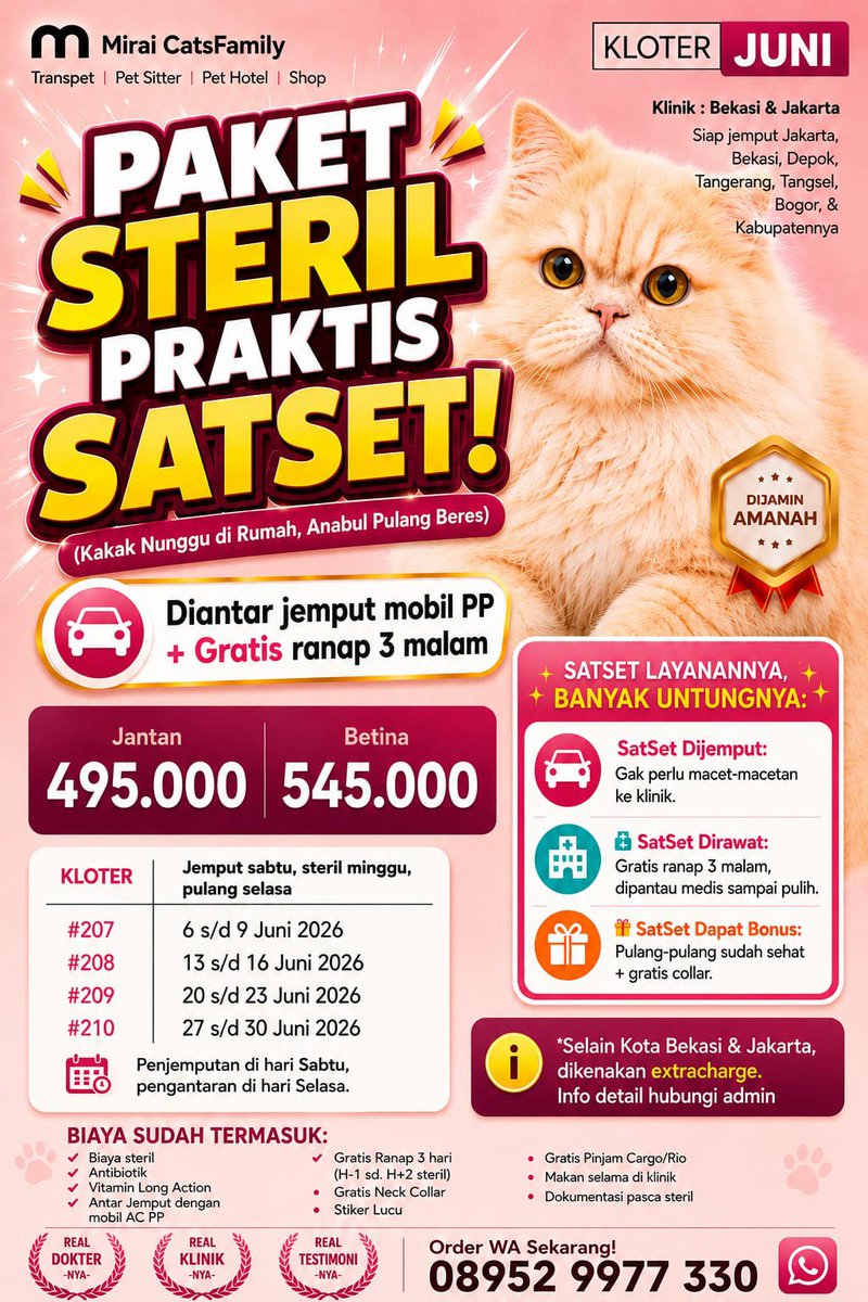Mirai CatsFamily | Steril • Cat Hotel • Transpet tweet media