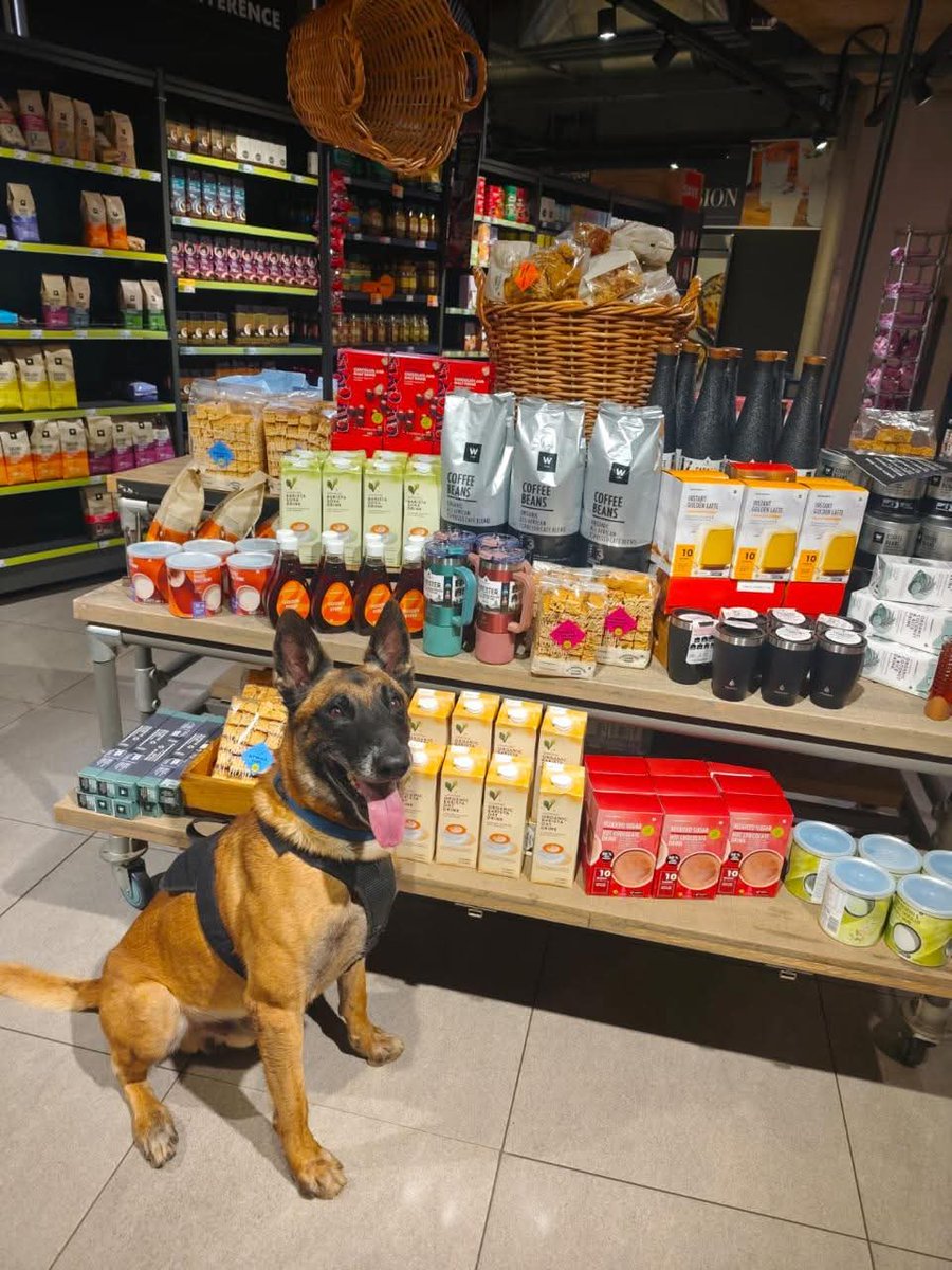LeonvdMerwe8's tweet photo. Woolworths hires bomb sniffing dogs to protect shoppers...
#SouthAfrica #woolworths #news https://t.co/ZPWrYsfeBl
