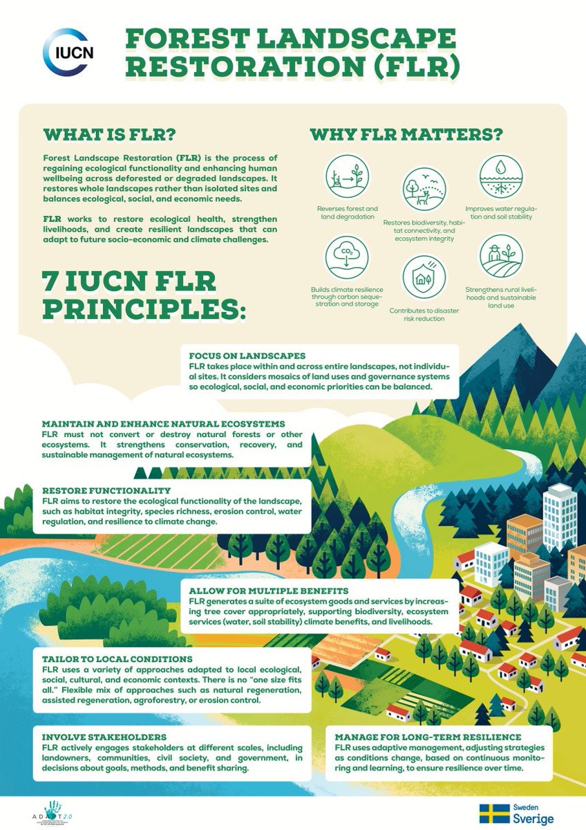 IucnRwanda's tweet photo. Forest Landscape Restoration is the process of regaining ecological functionality and enhancing human well-being across deforested or degraded landscapes. 

It restores whole landscapes rather than isolated sites and balances ecological, social &amp; economic needs.

@IUCN_forests https://t.co/Cz6XzuvQXA