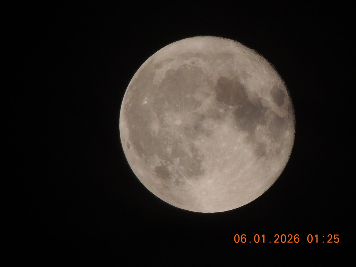 CDavEvans's tweet photo. I was outside in the early morning hrs checking on my cat &amp; I saw this awesome Moon, so I went to get my camera.  Had a hard time focusing on Moon because of twigs from a tree in front, but I didn't realize till later that a spider photo-bombed my Moon shot. @grok full moon? https://t.co/gOt2nm32Eo