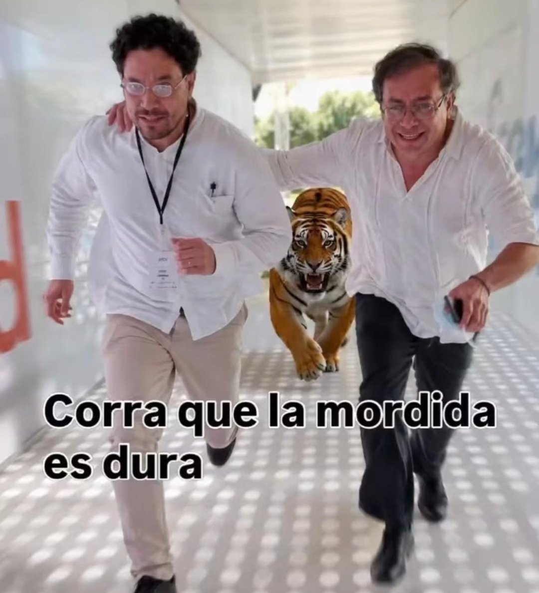 JanuMontPer's tweet photo. @petrogustavo Ya los veo pasando también, UN VERANO EN NUEVA YORK! Por qué protestó petro los resultados SI ABSOLUTAMENTE NADA TENÍAN QUE VER CON ÉL??? LA EXTRADICION QUE LE VIENE PA' ENCIMA!!! https://t.co/gRijrqNagK