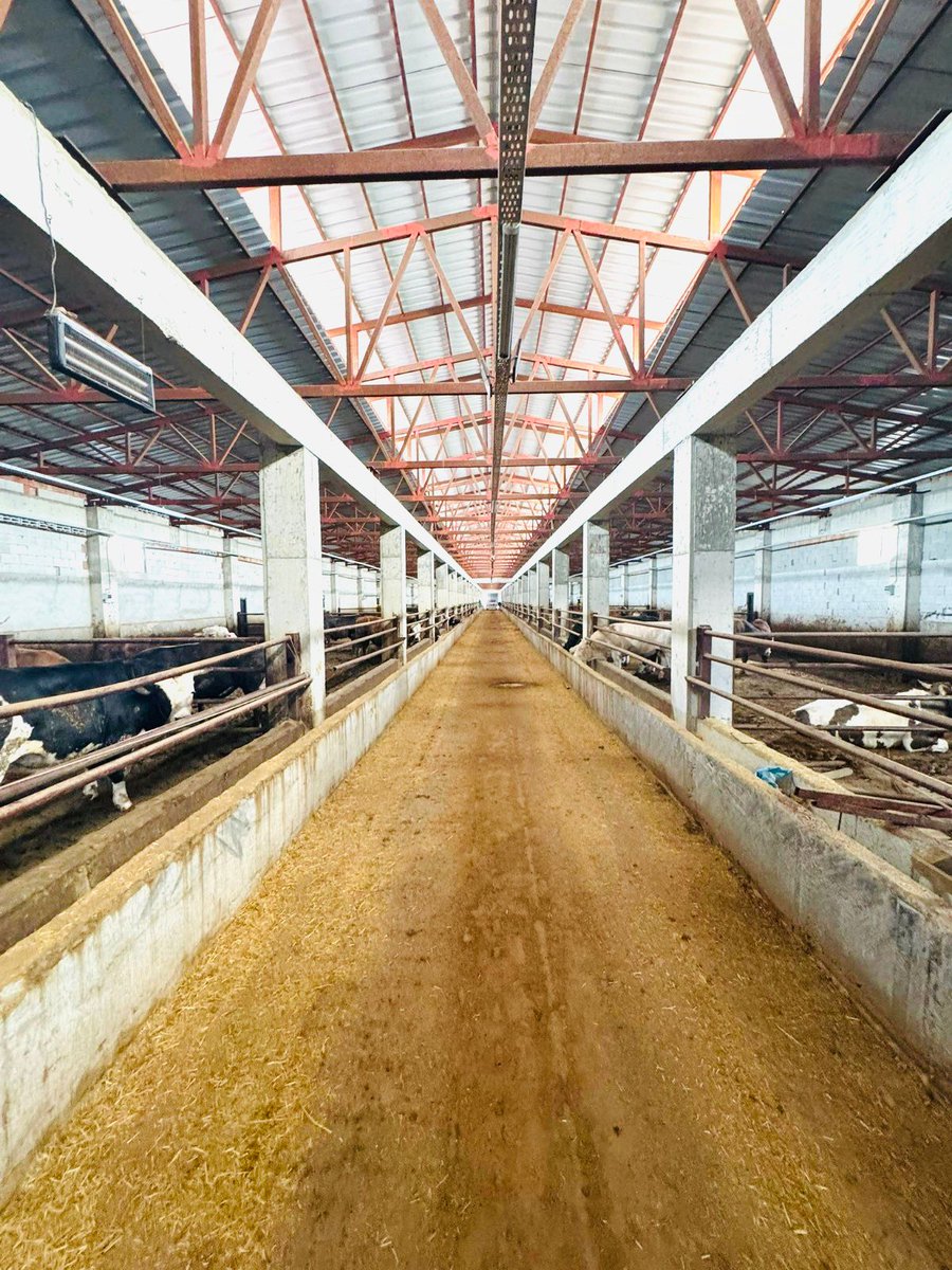 dortyoldanisman's tweet photo. TKDK IPARD Hibe Destekli 250 Büyükbaş Besi Tesisimiz. 🛠️🌾
💼 Siz de hayalinizdeki hayvancılık tesisini TKDK hibeleriyle hayata geçirmek için bizimle iletişime geçebilirsiniz.
#tkdk #ipard #ahır #besi #proje #hibe #kırsalkalkınma #çiftçi #çiftlik #dortyoldanismanlik https://t.co/vhVLU1SN9X