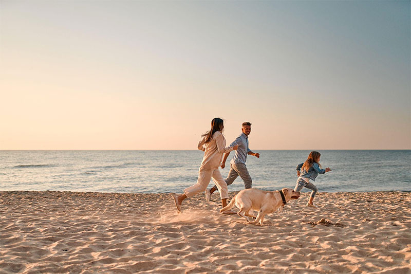 CompanionLifeUK's tweet photo. Ceva Animal Health shares vet-approved summer travel checklist for pet owners - https://t.co/Pim1hzNxBu https://t.co/pvDQRgOkB4