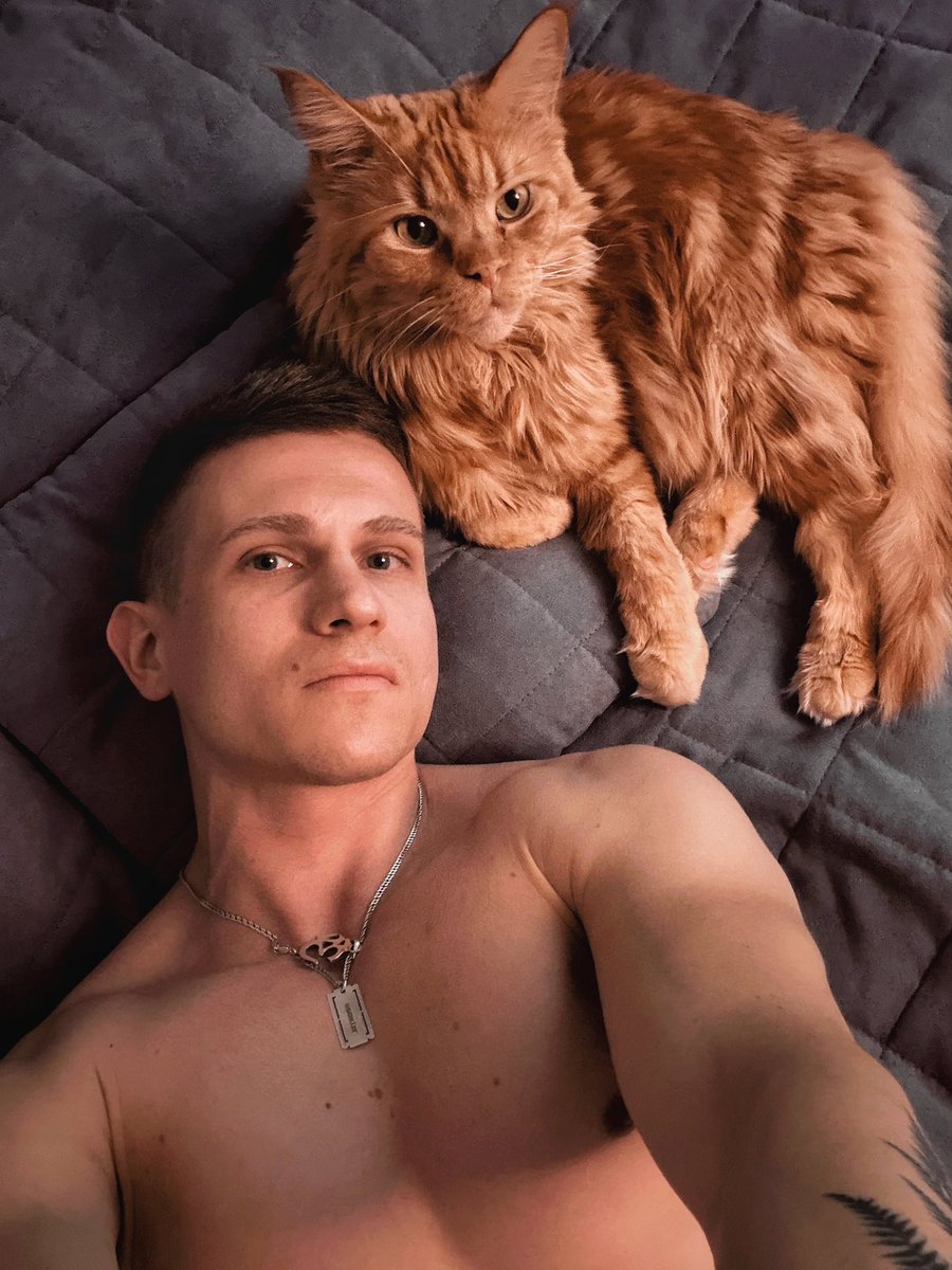 gatinart tweet media