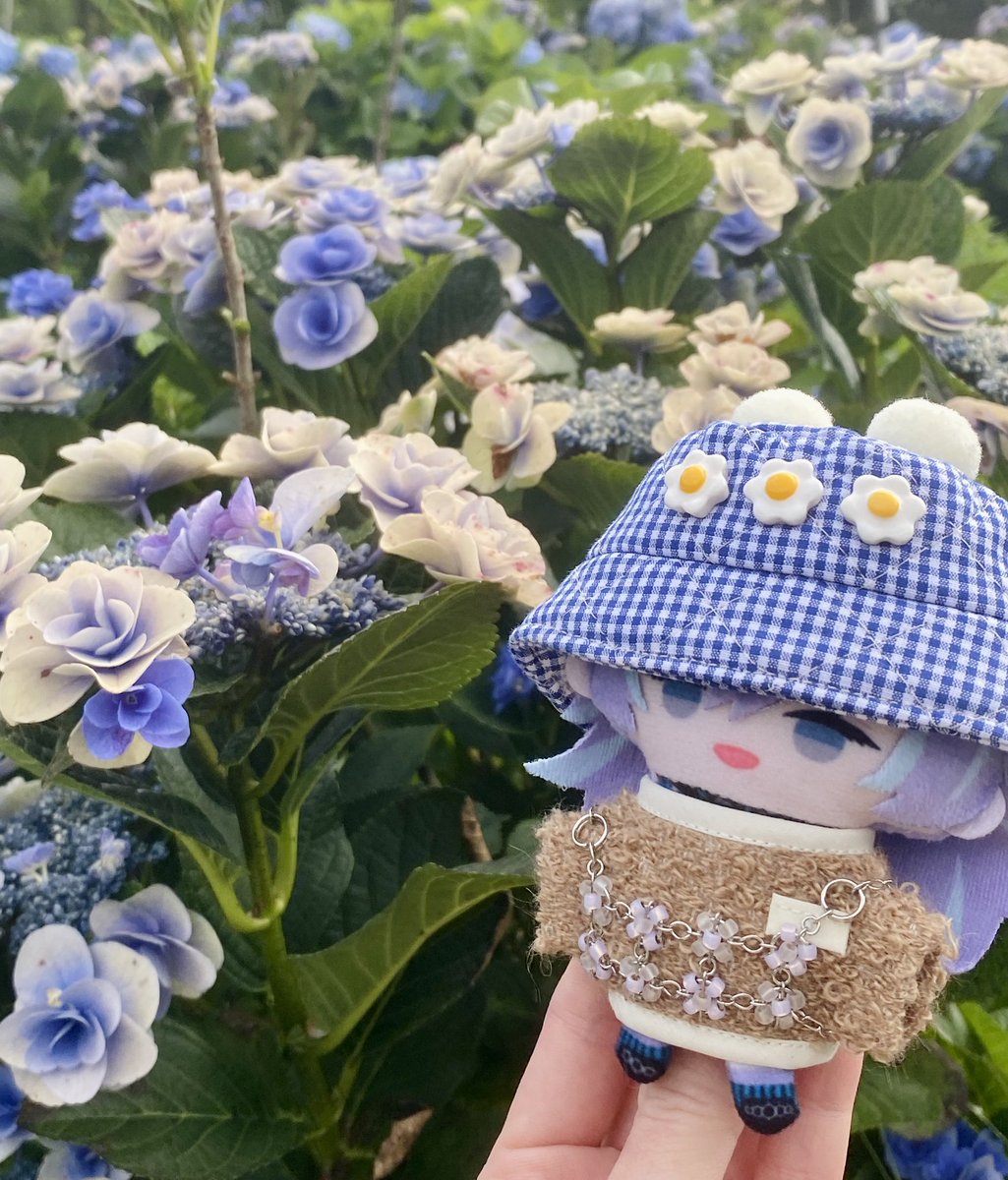 kiichi1ko's tweet photo. 紫陽花の色とりどりで本当に素敵です！癒やされました🕊

#にじぱぺっとが見られるタグ https://t.co/swAZ7Gu23j