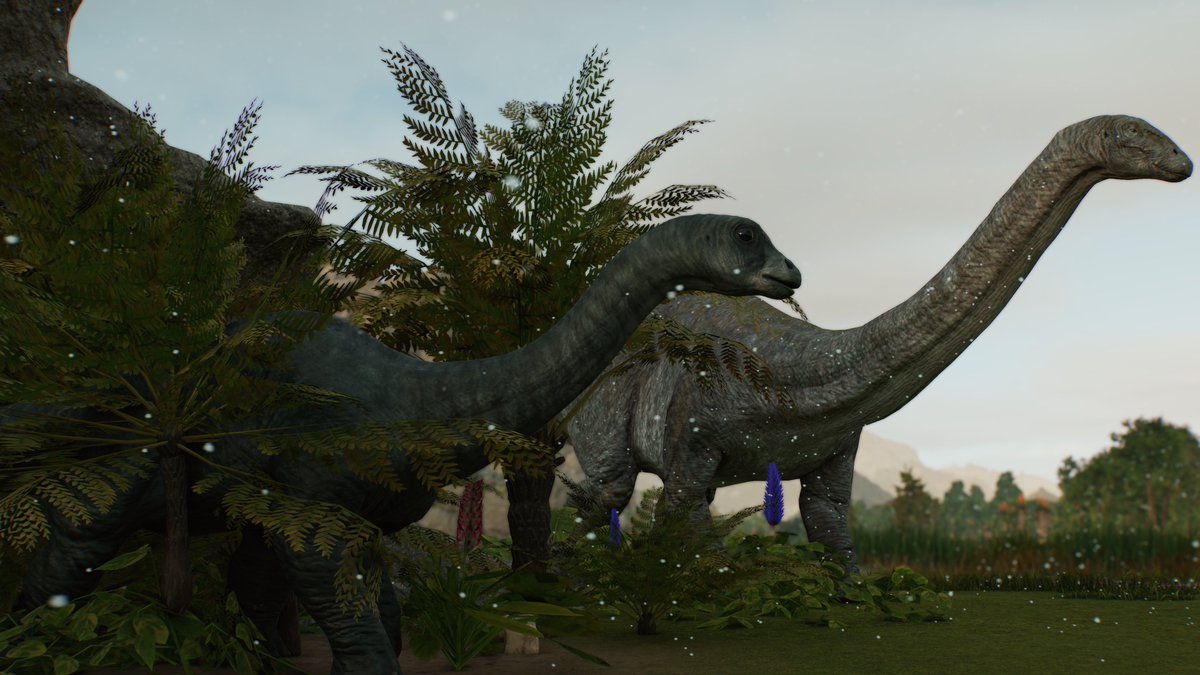 sitebmedia's tweet photo. John said it best: "These creatures don't need our protection. They need our absence." https://t.co/tIH51VuMNH