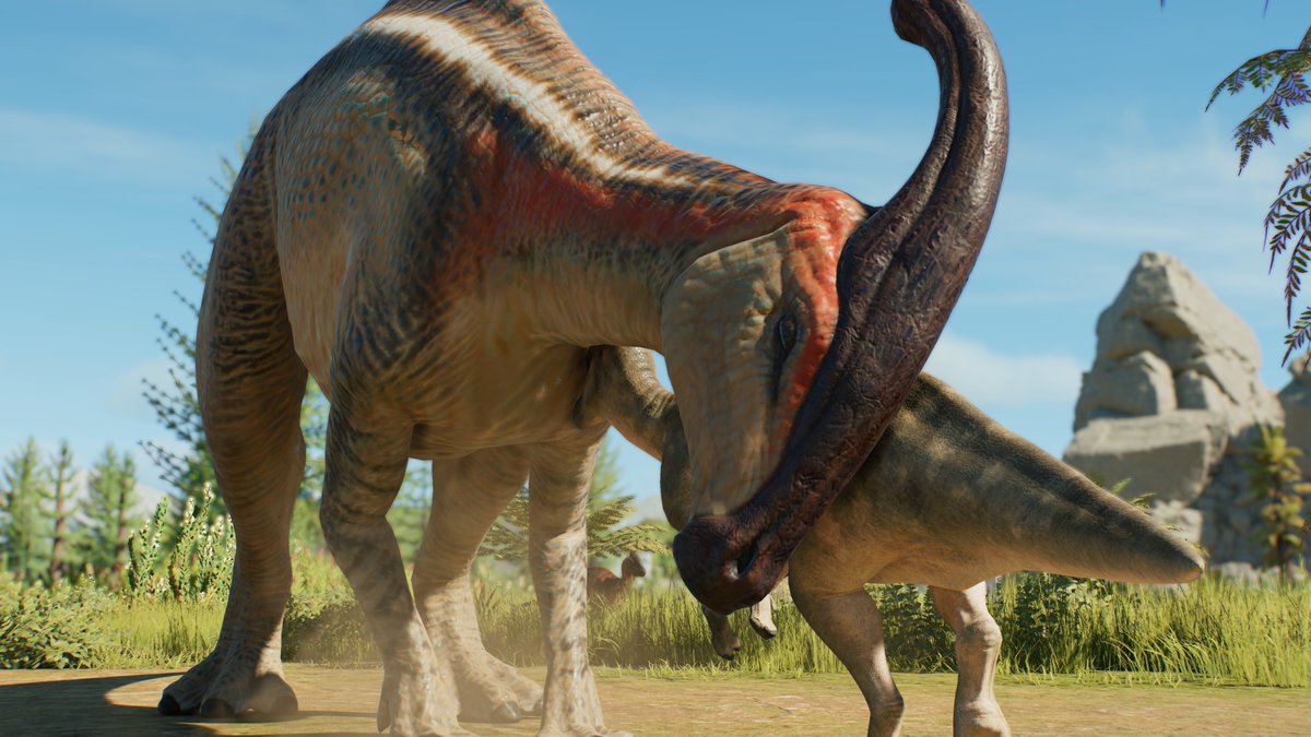 sitebmedia's tweet photo. John said it best: "These creatures don't need our protection. They need our absence." https://t.co/tIH51VuMNH